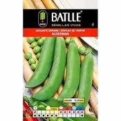 Batlle guisante enrame alderman