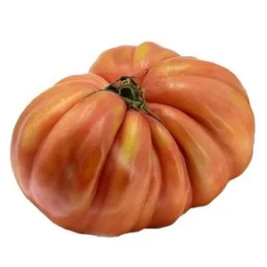 Tomàquet rosa de la reina 1 u.