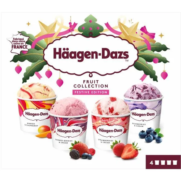 Multipack fruit collection HAAGEN DAZS, pack 4x95 ml
