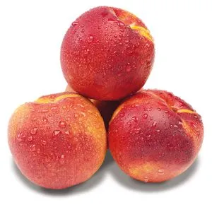 Nectarina
