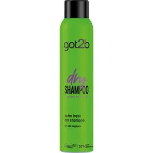 Champú En Seco Extra Fresh