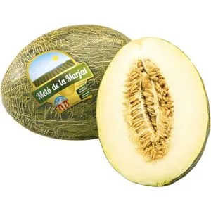 Melón de la Marjal Partido