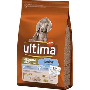 Comida Seca Perros Junior
