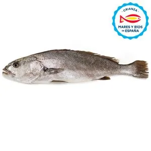 Corvina Entera/Mitades Crianza de España