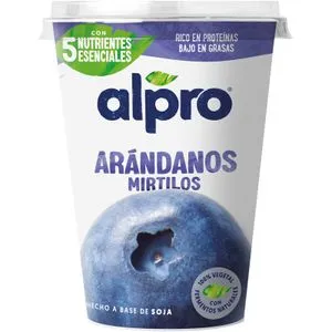 Postre de Soja con Arándanos