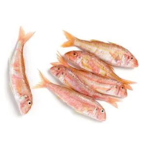 Salmonete Lonjas del Mediterráneo
