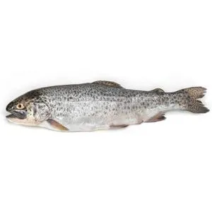 Trucha Arcoiris Salmonada