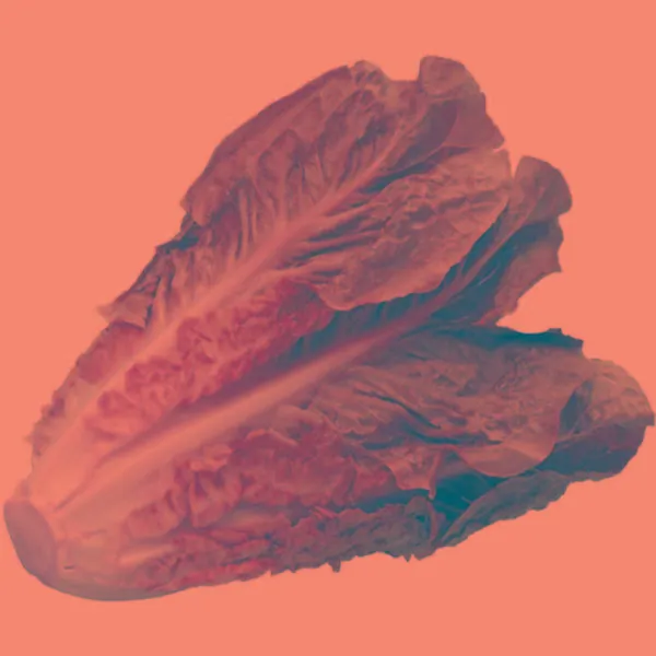 Lechuga Romana EROSKI, unidad