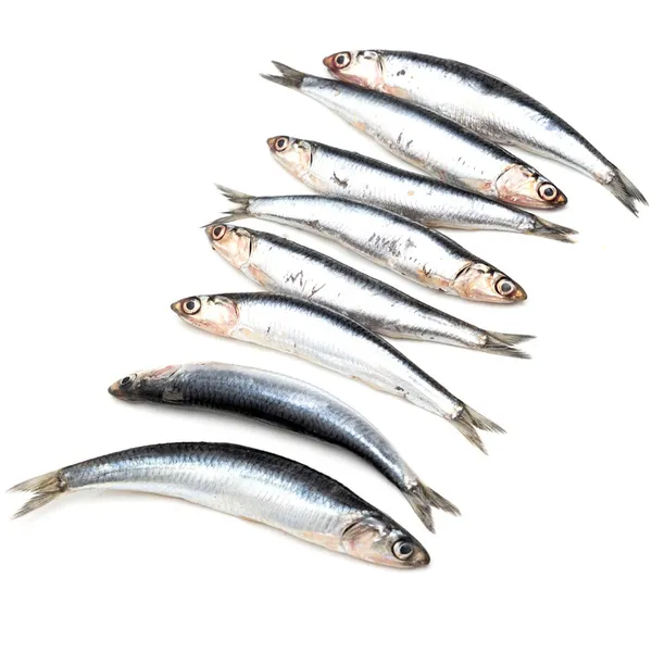 Boquerón/bocarte kilo