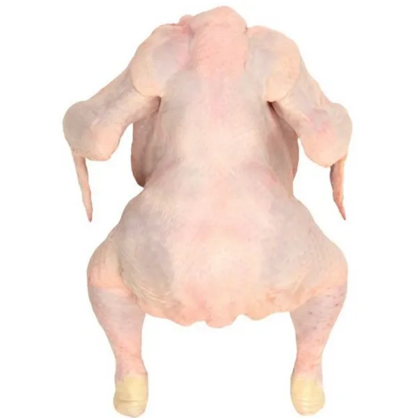 Pollo de campo OBLANCA kilo