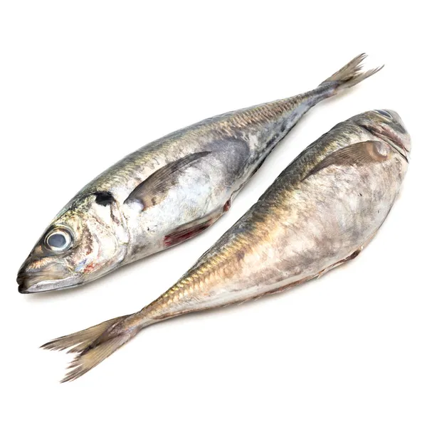Jurel (400-600 g) kilo