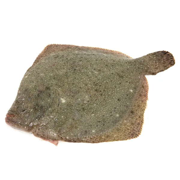 Rodaballo (2 a 2,5 kg) acuicultura kilo
