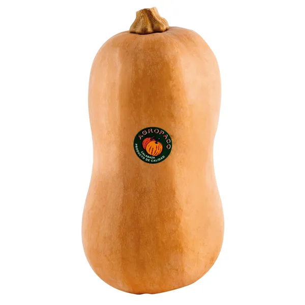 Calabaza violín entera categoría 1ª (longitud 25 cm peso mínimo 1kg) kilo