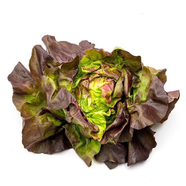 Lechuga roja categoría 1ª (peso mínimo 200 g) unidad
