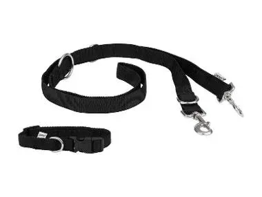 zoofari® Collar para perro con correa / correa de adiestramiento (Collar S y correa para perro)