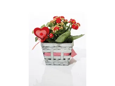 Cesta día de la madre