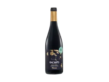 Vino tinto Castilla y León