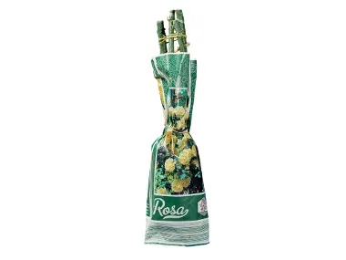 Rosal para plantar