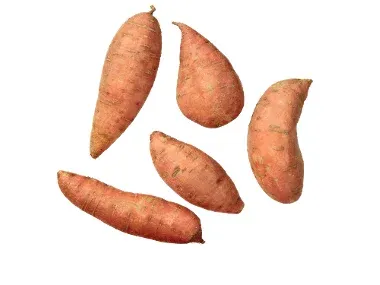 Boniato