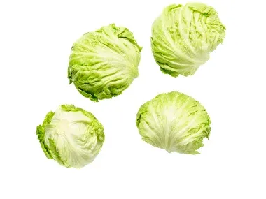 Iceberg
