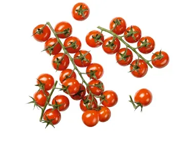 Tomate Cherry rama