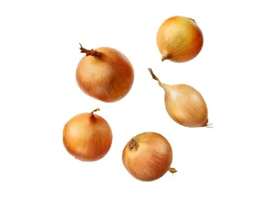 Cebolla