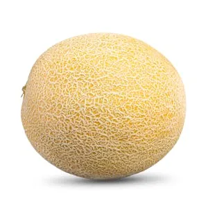 Melón Galia