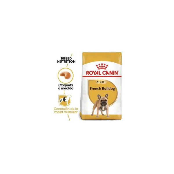 ROYAL CANIN BULLDOG FRANCES ADULTO