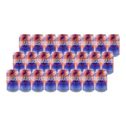 Bebida isotónica Aquarius melocotón rojo 33 cl pack 24 latas