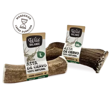 Wild Balance ASTA DE CIERVO ENTERA Mordedor Natural para perros