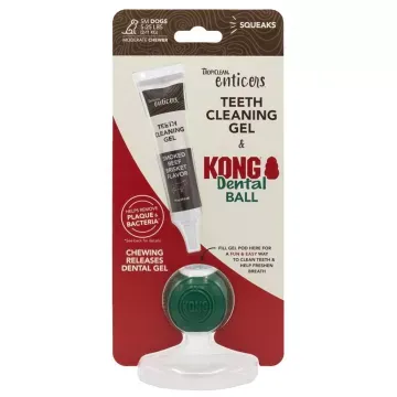 Kong Dental Ball Kit para Perros