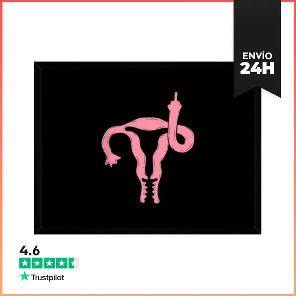 Cuadro Con Marco Horizontal Útero Muestra El Dedo Medio Feminista