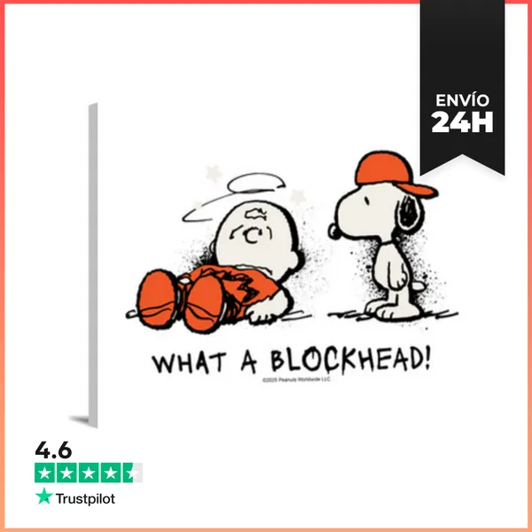 Lienzo Horizontal Charlie Brown What A Blockhead LaTostadora