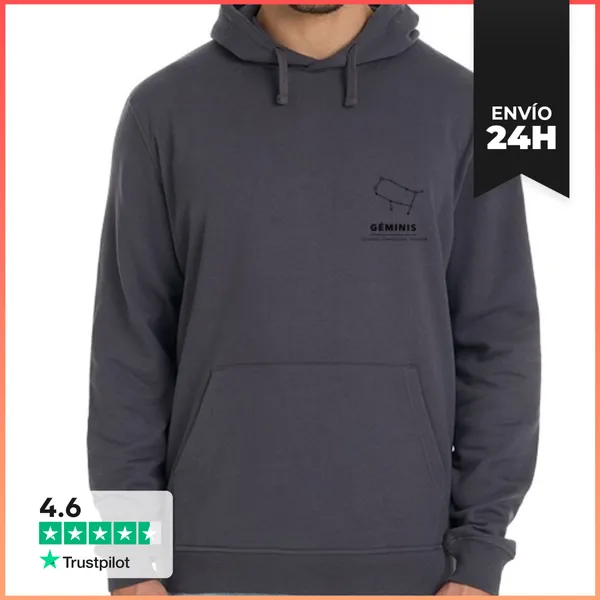 Sudadera Unisex Con Capucha Geminis LaTostadora