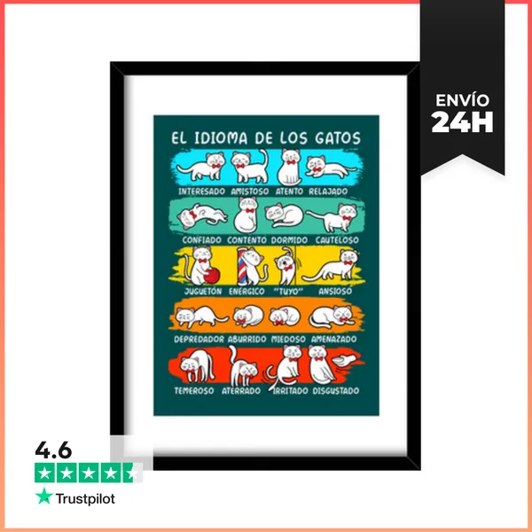 Cuadro Con Marco Vertical El Idioma De Los Gatos Animales