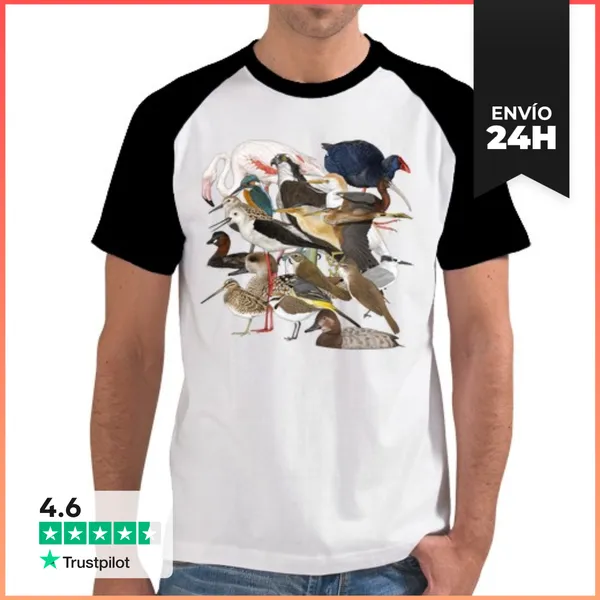 Camiseta Hombre, Estilo Béisbol Aves Humedales LaTostadora