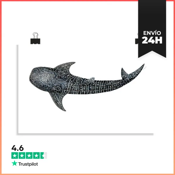 Póster Horizontal Tiburón Ballena Para Buceadores LaTostadora