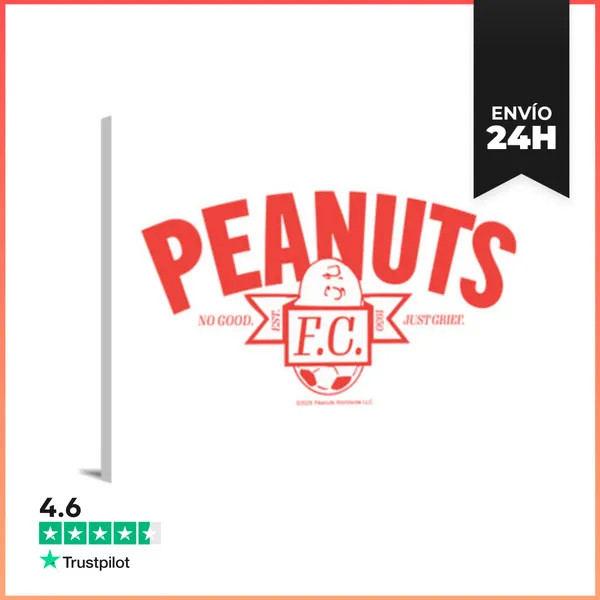 Lienzo Horizontal Peanuts Football Club LaTostadora