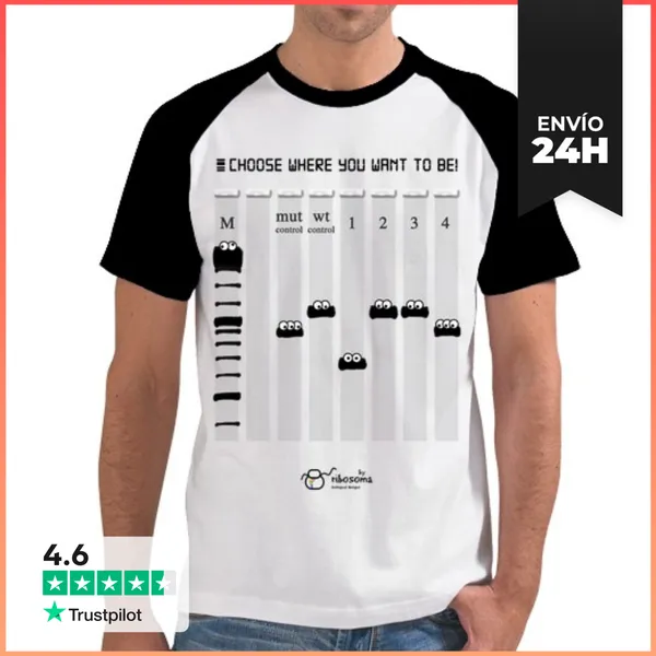 Camiseta Hombre, Estilo Béisbol Choose Where You Want To Be