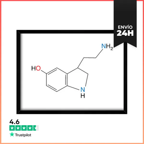 Cuadro Con Marco Horizontal Serotonina LaTostadora