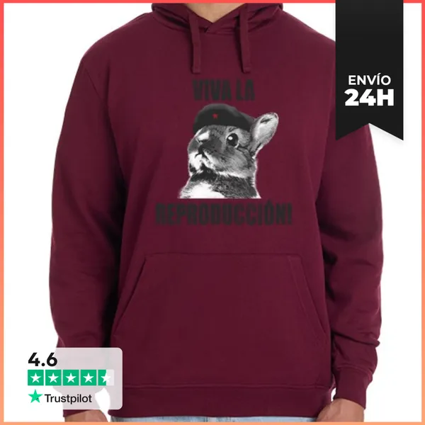 Sudadera Unisex Con Capucha Viva La Reproduccion LaTostadora