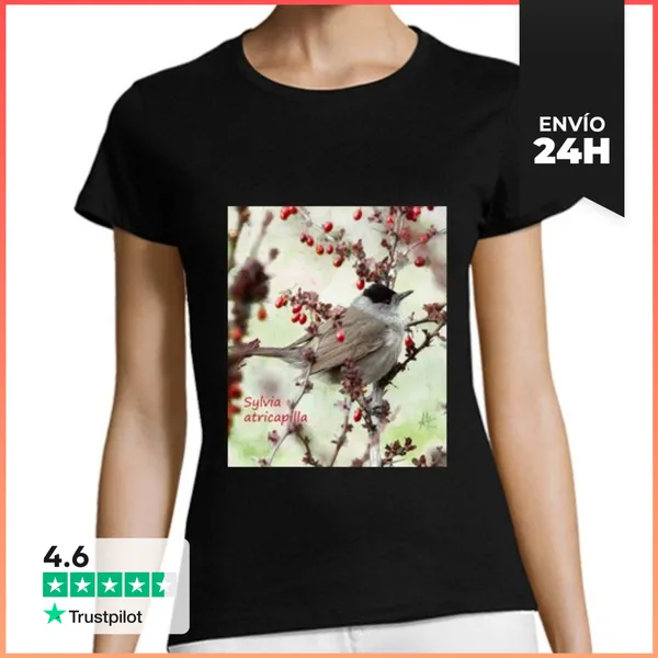 Camiseta Mujer Clásica CURRUCA CAPIROTADA LaTostadora