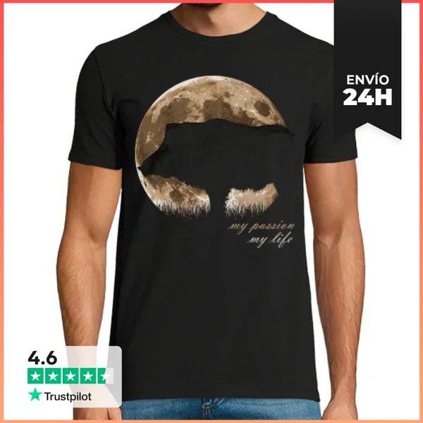 Camiseta Hombre Clásica Hombre, Manga Corta, Negra, Calidad Extra