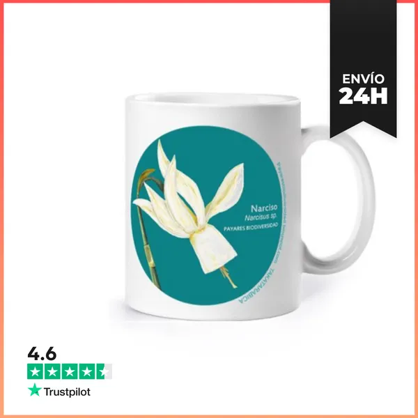 Taza Narciso Payares LaTostadora