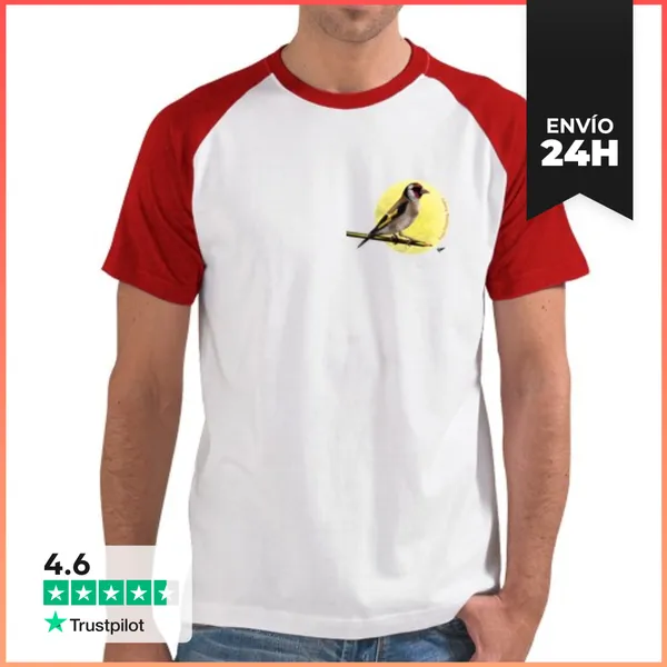 Camiseta Hombre, Estilo Béisbol Camiseta Jilguero Pecho Hombre