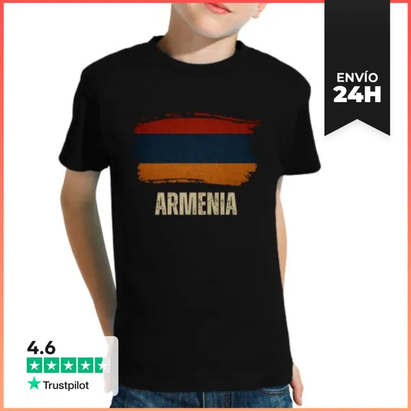 Camiseta Clásica Para Niños Bandera De Armenia Vintage Grunge