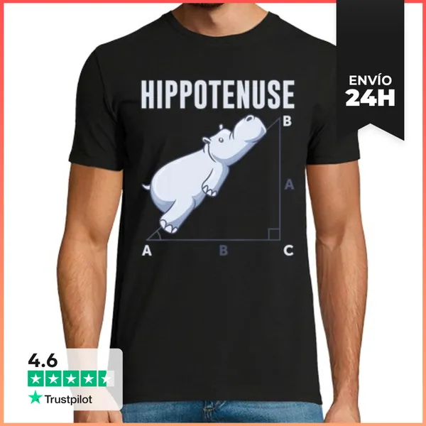 Camiseta Hombre Clásica Matemáticas Hipotenusa Matemáticas Teor