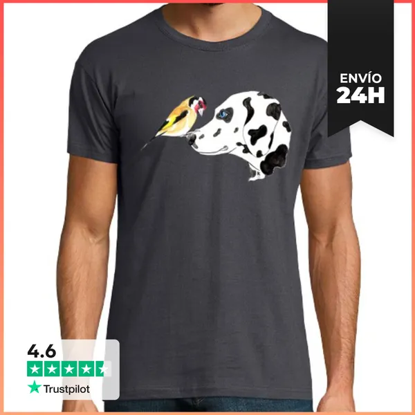 Camiseta Hombre Clásica Hombre, Manga Corta, Gris Ratón, Calidad