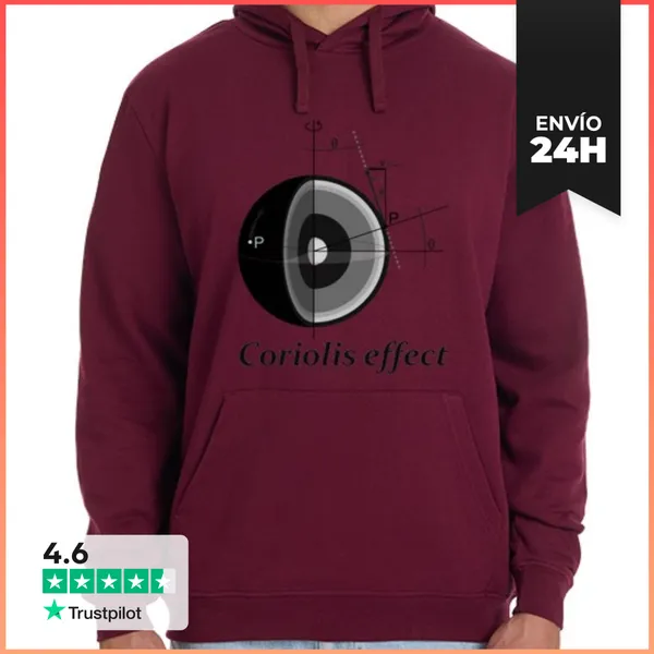 Sudadera Unisex Con Capucha Coriolis Effect LaTostadora