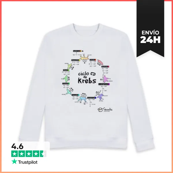 Sudadera Unisex Ciclo De Krebs (fondos Claros) LaTostadora